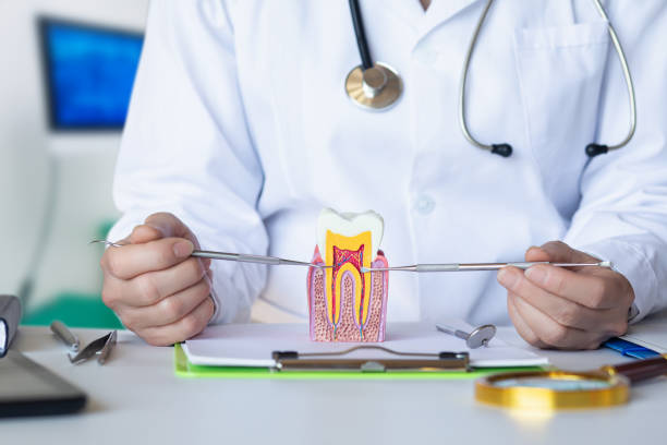 Best Emergency Tooth Extraction in Wrightsville, PA